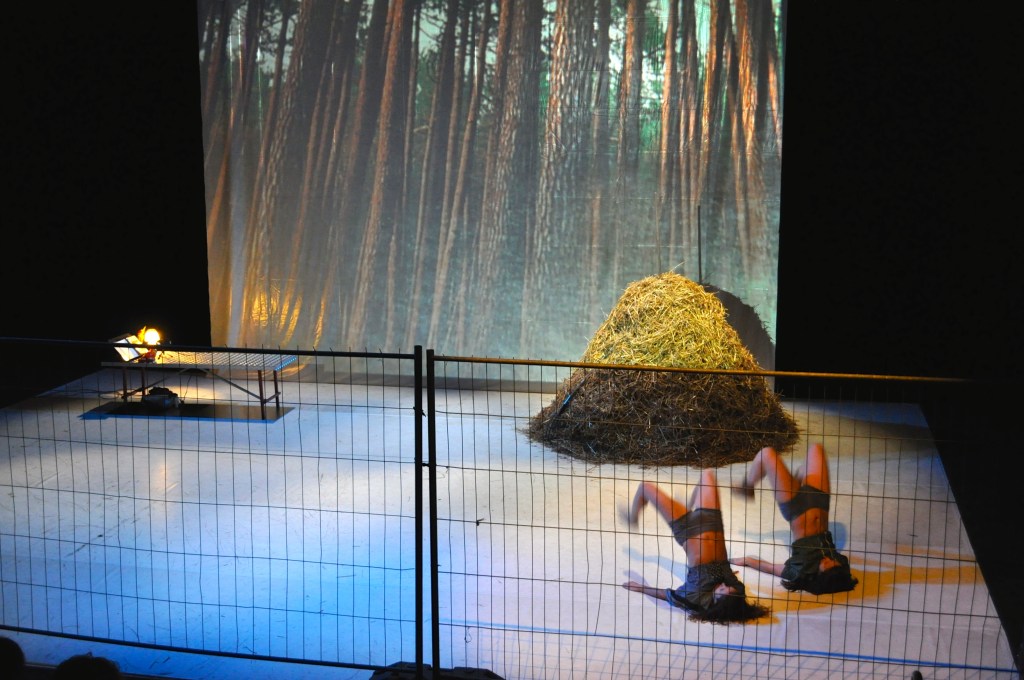 viento mucho viento&nbsp;(2013)